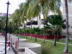 The Windsor (D20), Condominium #130950732